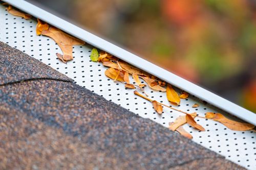 Gutter Guards: Why You Need Them and How to Shop For Them Gutter guard catching Autumn foliage debris.