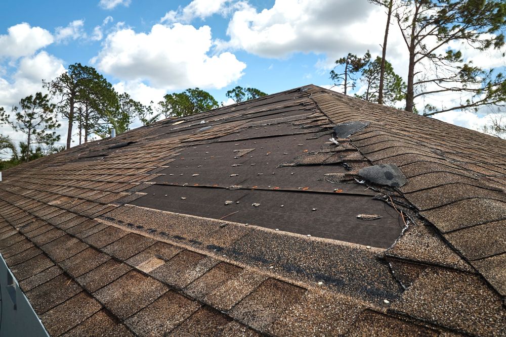 RP Lumber Roofing Blog Article