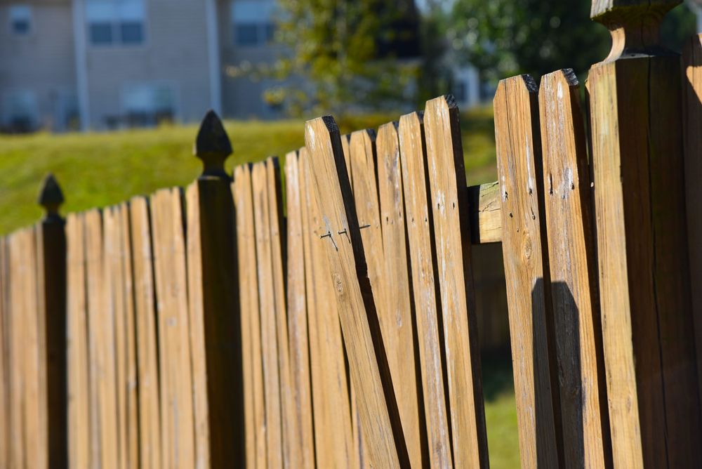 RP Lumber  When to Repair or Replace Your Existing Fence